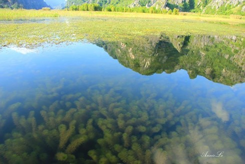 Les sites vietnamiens qui figureront dans le film “Kong: Skull Island” - ảnh 3